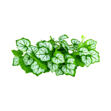 W006 - Feuillage en Branche Vert et Blanc