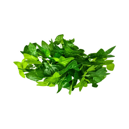 W009 - Feuillage en Branche Vert Clair