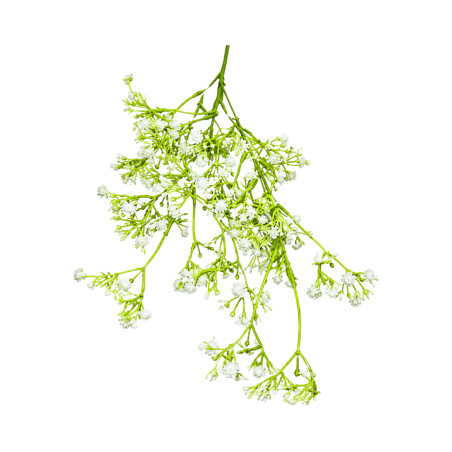 P04 - Gypsophile Artificielle Blanche
