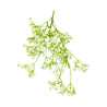 P04 - Gypsophile Artificielle Blanche