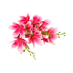 Branche Magnolia Rose Clair Artificielle