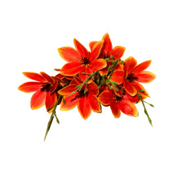 Branche Magnolia Orange Artificielle