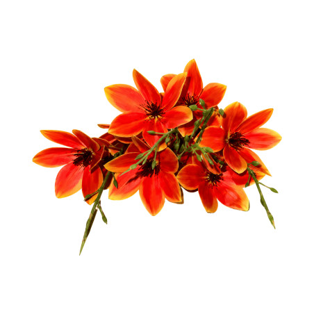 Branche Magnolia Orange Artificielle