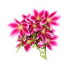 Branche Magnolia Rose Mauve Artificielle