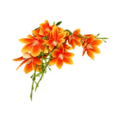 Branche Magnolia Orange Clair Artificielle