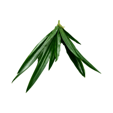 Feuillage Tropical Artificiel Vert