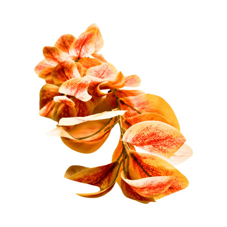 Branche Feuillage Jaune Orange