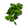 Branche Feuillage Vert Artificielle