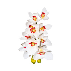 Cymbidium Blanc Cœur Rouge Artificiel