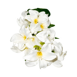 Tige d’Iris Blanche Artificielle