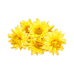 Bouquet Chrys-Dahlia Artificiel Jaune