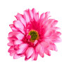 Gerbera Artificiel Rose Clair