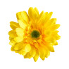 Gerbera Artificiel Jaune