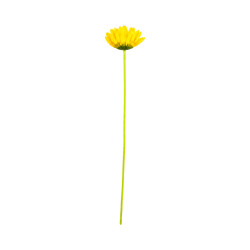 Gerbera Artificiel Jaune