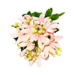 Tige Fleur Artificielle Rose Clair