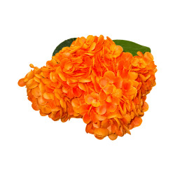 Hortensia Artificiel Orange