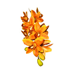 Cymbidium Orange Artificiel
