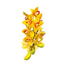 Cymbidium Jaune Cœur Rouge Artificiel