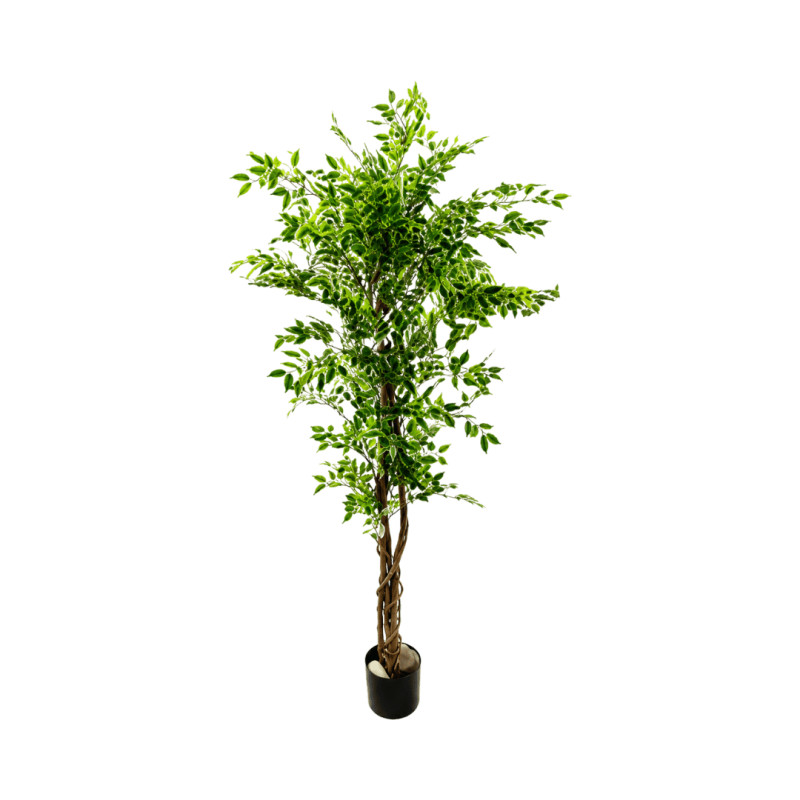 Ficus Artificiel Panaché Blanc Vert 3 Troncs – 1,35 m