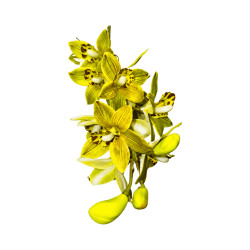 Cymbidium Vert Anis Strié Marron Artificiel