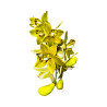 Cymbidium Vert Anis Strié Marron Artificiel