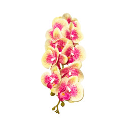 Phalaenopsis Jaune tache Rose Artificielle