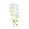 Orchidée Blanche Cœur Jaune Artificielle