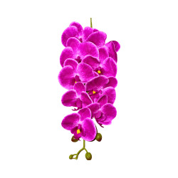 Orchidée Mauve Extérieur Clair Artificielle