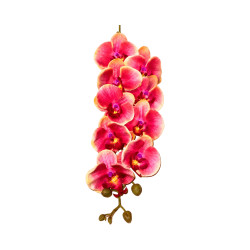Orchidée Rose Dégradée Bord Blanc Artificielle