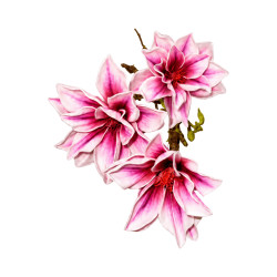 Branche de Magnolia Blanc & Rose Artificielle