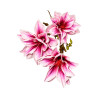 Branche de Magnolia Blanc & Rose Artificielle