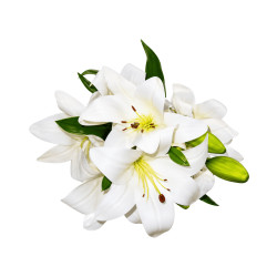 Bouquet de Lys Blancs Artificiels