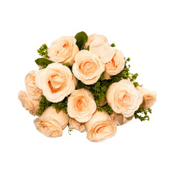 Bouquet 20 Roses Artificielles – Beige Saumon