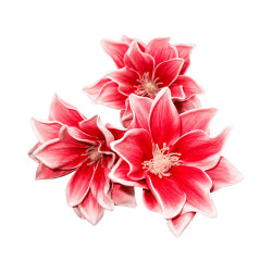 Tige 3 Fleurs – Blanc Rose Clair