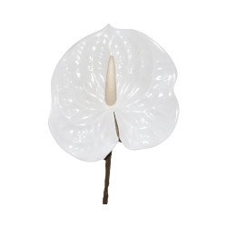 Tige d’Anthurium Artificiel – Blanc