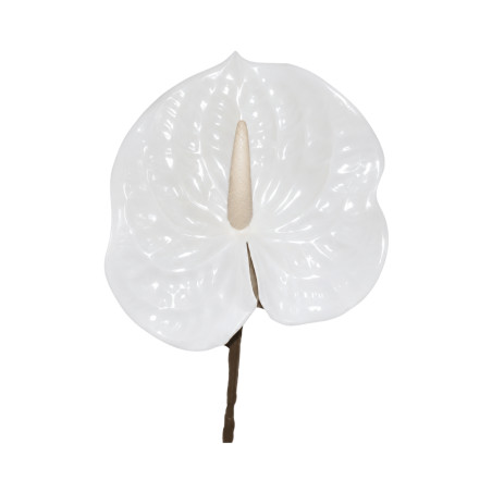 Tige d’Anthurium Artificiel - Blanc