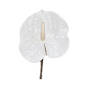 Tige d’Anthurium Artificiel – Blanc