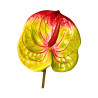 Tige d’Anthurium Artificiel – Vert Strié Rouge