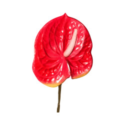 Tige d’Anthurium Artificiel – Rose