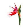 Tige Oiseau de Paradis Artificiel Rouge