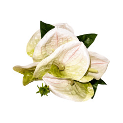 Bouquet d’Anthuriums Artificiels Blanc Crème