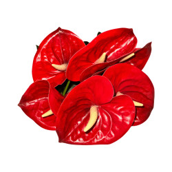 Bouquet d’Anthuriums Artificiels Rouges