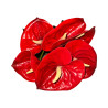 Bouquet d’Anthuriums Artificiels Rouges
