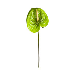 Tige d’Anthurium Artificiel Vert