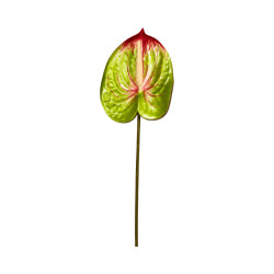 Tige d’Anthurium Artificiel Vert et Rouge