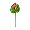 Tige d’Anthurium Artificiel Vert Foncé et Rouge