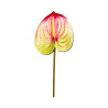 Tige d’Anthurium Artificiel Blanc et Rouge