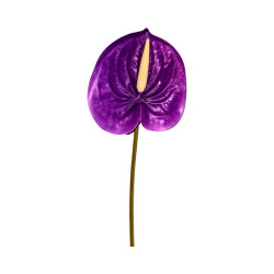 Tige d’Anthurium Artificiel Mauve