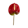 Tige d’Anthurium Artificiel Rouge avec Touche Verte