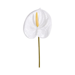 Tige d’Anthurium Artificiel Blanc